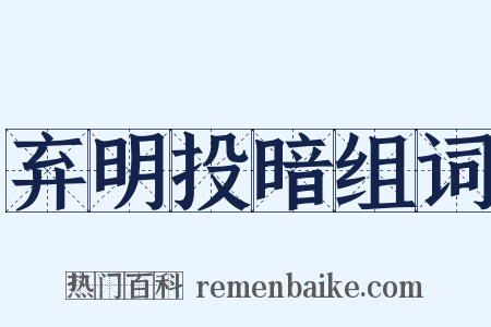 弃明投暗组词是什么意思的图片